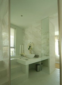 時(shí)尚現(xiàn)代簡約衛(wèi)生間臺(tái)階隔斷設(shè)計(jì)