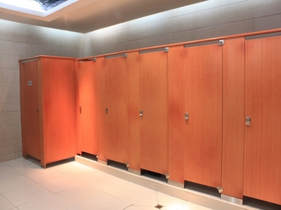 東莞市工廠廁所隔斷和力成支持上門(mén)量尺美觀大方